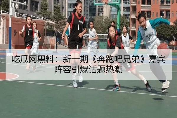 chi-gua-wang-hei-liao-xin-yi-qi-ben-pao-ba-xiong-di-jia-bin-zhen-rong-yin-bao-hua-ti-re-chao-2-326.jpg